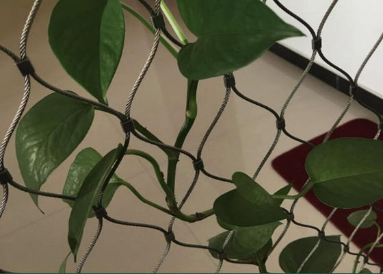 Stainless Steel Wire Rope Mesh Trellis for Green Walls Custom Sizes