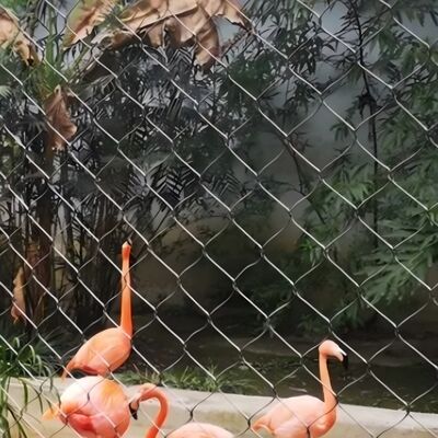 Strong Toughness X Tend Stainless Steel Cable Mesh For High Altitude Anti Fall Net