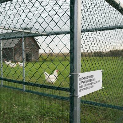 Height Customized Aviary Wire Netting Providing Excellent Performance for Poultry Farms As Customers Requirements