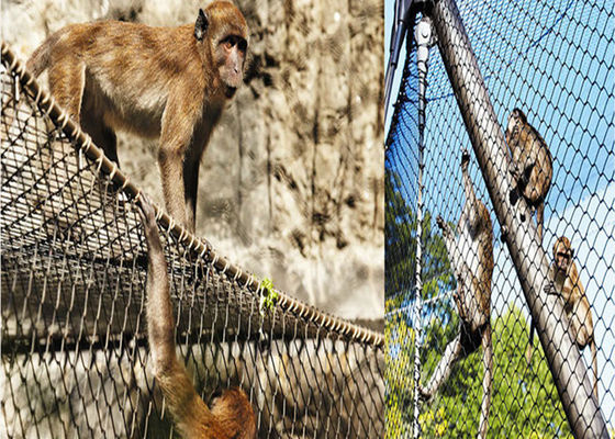 1.5 মিমি তারের ব্যাস স্টেইনলেস স্টিল বার্ড নেটিং টুইল বুনা শক্ত কাগজের বাক্স প্যাকেজিং