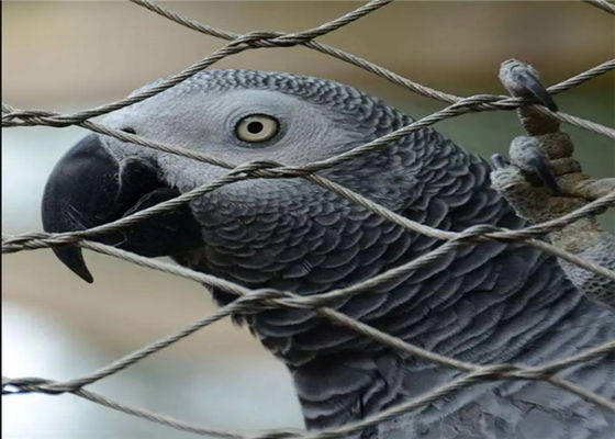 60 ডিগ্রী ডায়মন্ড জাল এবং স্টেইনলেস স্টীল তারের দড়ি সঙ্গে পোলিশ পৃষ্ঠ চিড়িয়াখানা তারের জাল