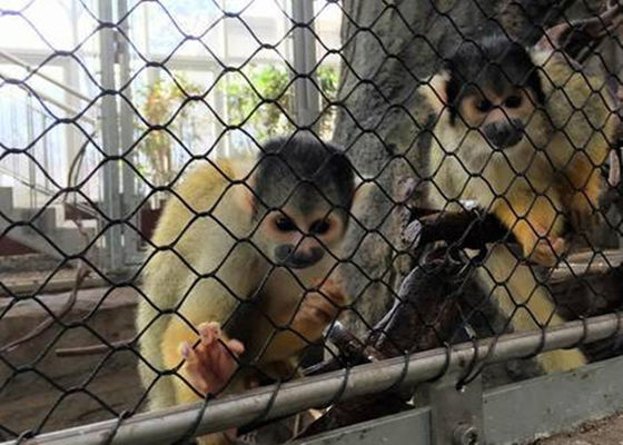 ব্ল্যাক অক্সাইড নমনীয় এস এস এভিয়ার দড়ি মেষ নেট নাটক বুনা প্রকার