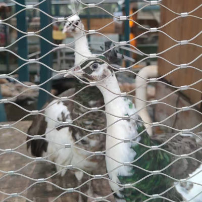 পশুচিকিত্সকের জন্য নমনীয় তারের দড়ি তারের জাল