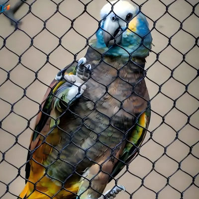এসএস 304 316 চিড়িয়াখানা বেড়া জাল নমনীয় তারের তারের জাল পাখি পাখির জন্য