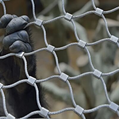 সুরক্ষা বাধা জন্য ডিজাইন শক্তিশালী স্টেইনলেস স্টীল তারের জাল