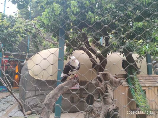 316 স্টেইনলেস স্টীল তারের নিরাপত্তা নেট ক্রেন ফ্লাডলাইটস ড্রপ প্রতিরোধ নেট