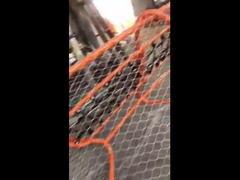 তারের দড়ি জাল বেড়া