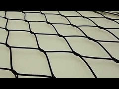 কালো শেষ