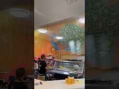 চেইন লিঙ্ক পর্দা2