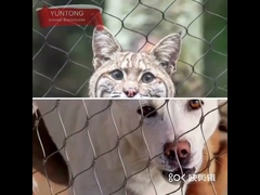 প্রাণী খাঁচা