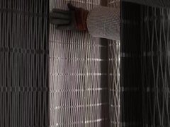 চিড়িয়াখানা তারের জাল 2