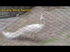 চিড়িয়াখানা