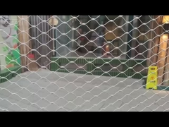 পাখি বন নেট