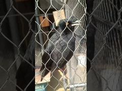 টেকসই নরম ফেরুল টাইপ নমনীয় ধাতু শক্তিশালী স্টেইনলেস স্টিল গিঁটযুক্ত দড়ি জাল