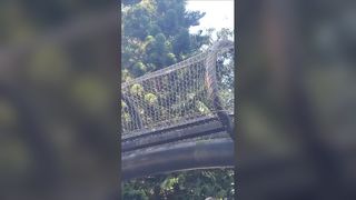 স্টেইনলেস স্টীল দড়ি নেট গার্ডেন বেড়া পতন সুরক্ষা